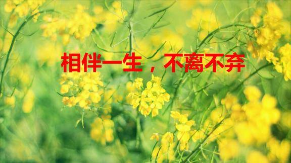 这首歌唱出了我的心声亲爱的我愿与你相伴一生不离不弃