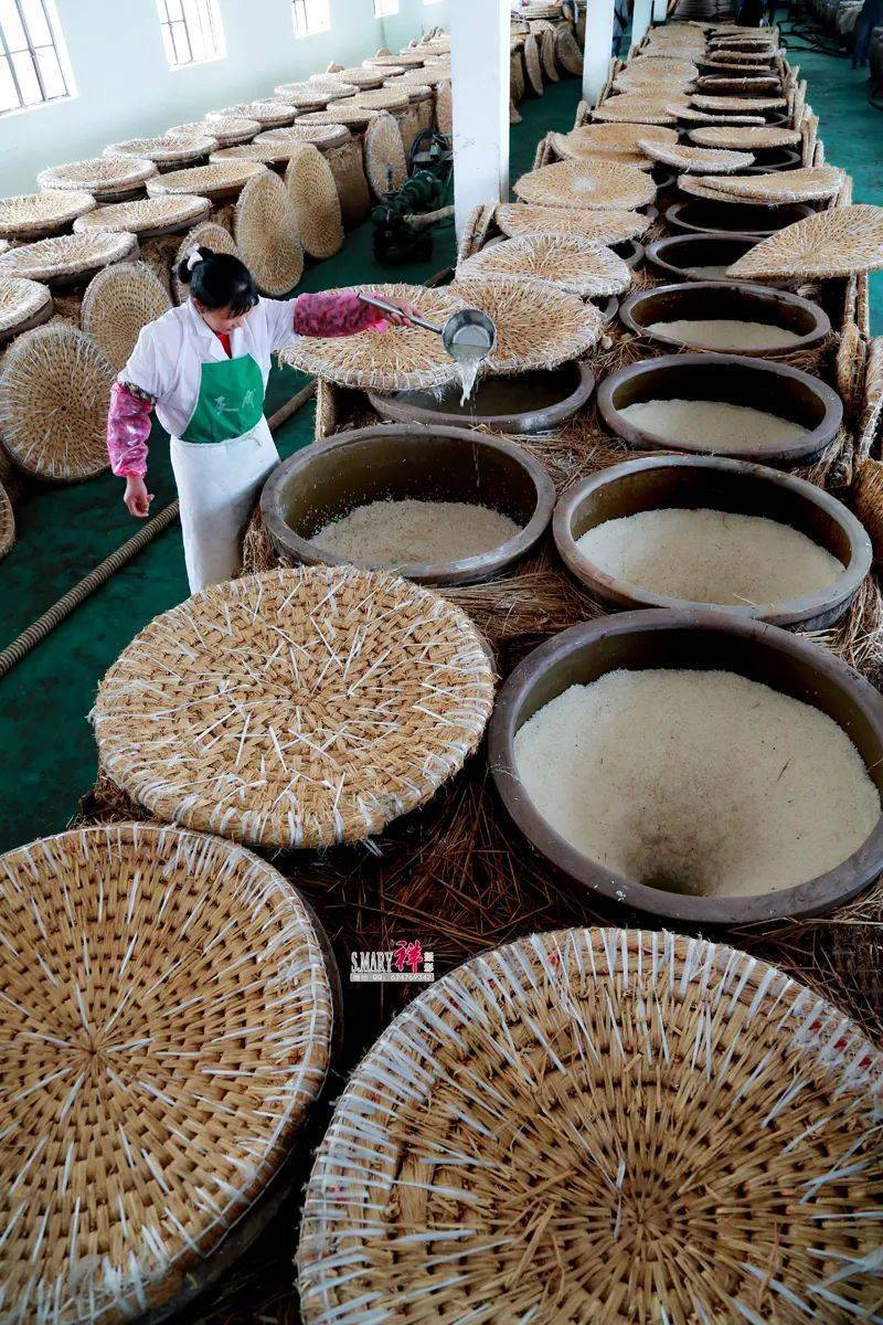 非遗零距离|东台陈皮酒酿造技艺:千年佳酿,匠心传承