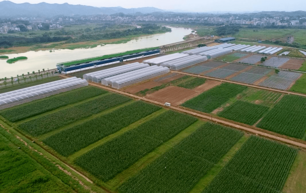 安流镇即将富的流油!竟有那么多致富门路