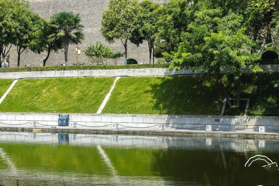 记住381号快来为护城河打call内含视频