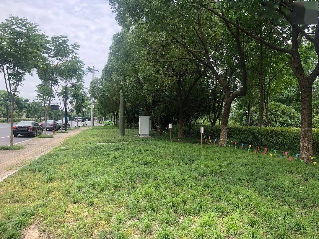 九堡街道召开美丽九堡创建暨迎亚运城市环境大整治城市面貌大提升长效