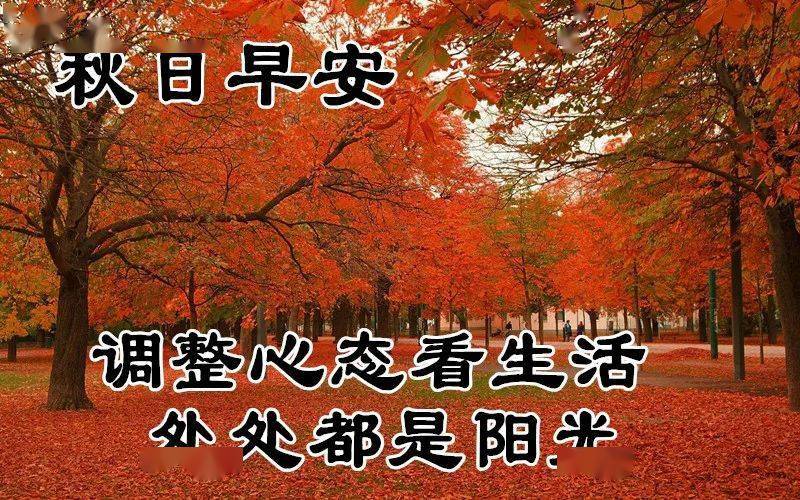 10月21日最漂亮早上好动态表情图片大全早晨好动图美图大全