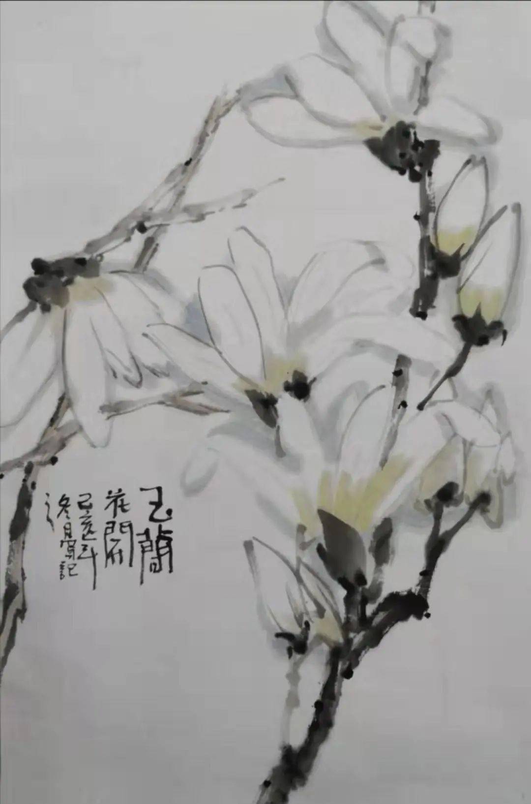 葛军玉兰中国画写意作品选辑