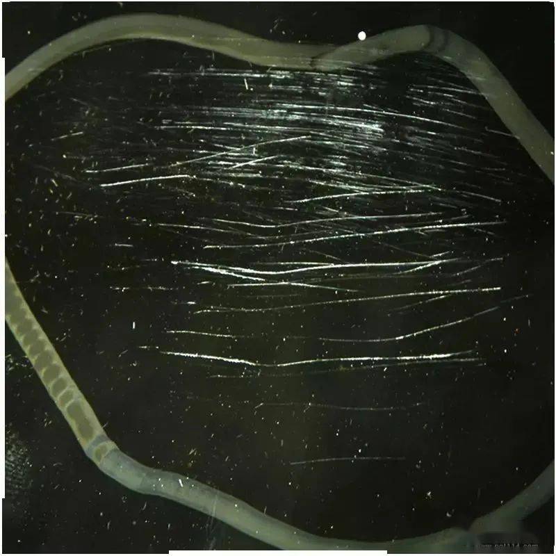 玻璃刮花了有划痕怎么修复