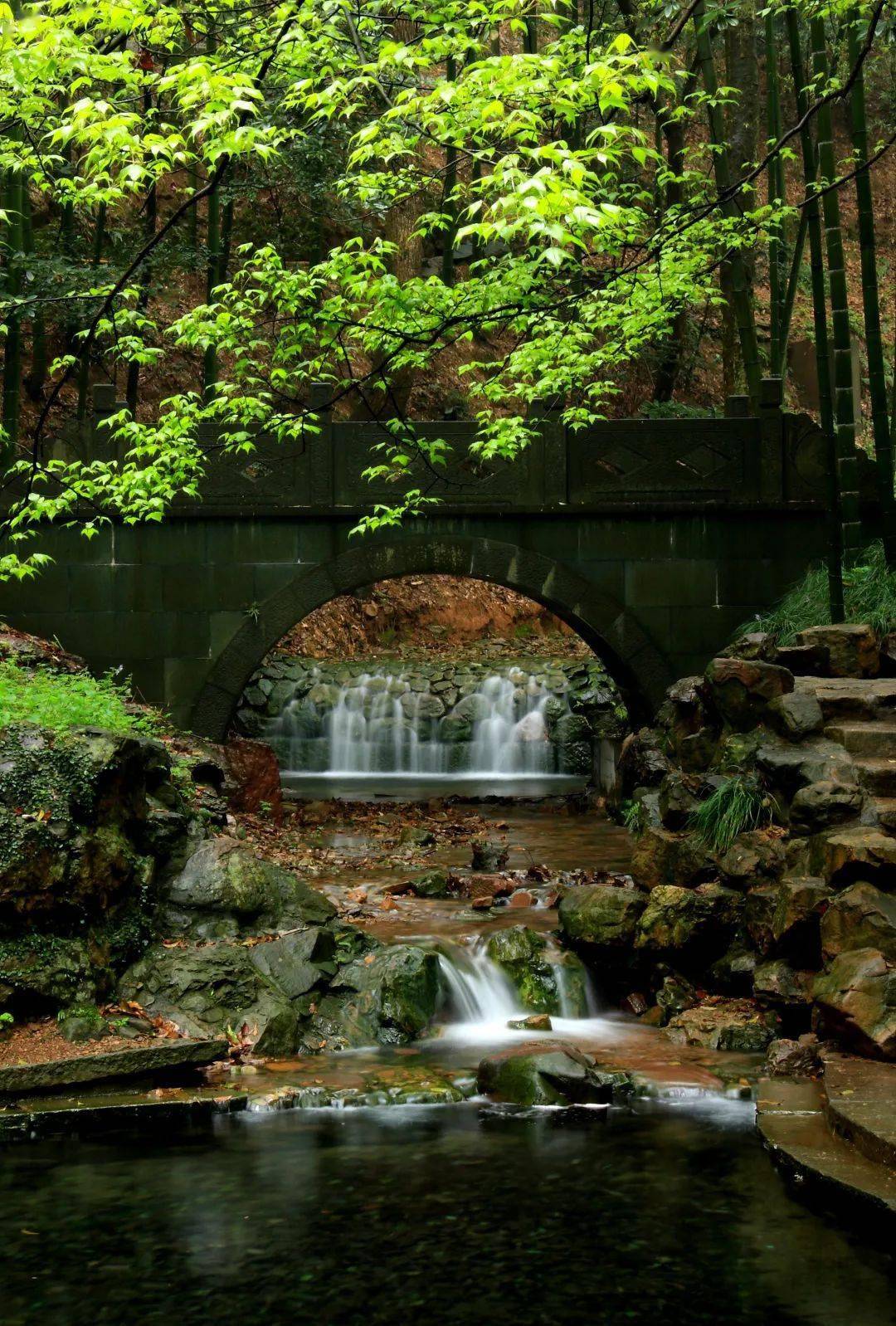 萬竿綠竹雲天景雲棲竹徑