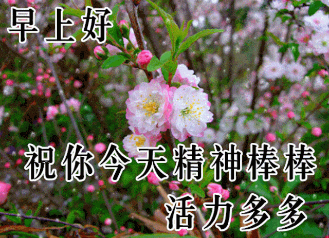 10月22日最漂亮早上好动态表情图片大全,早晨好动图美图大全