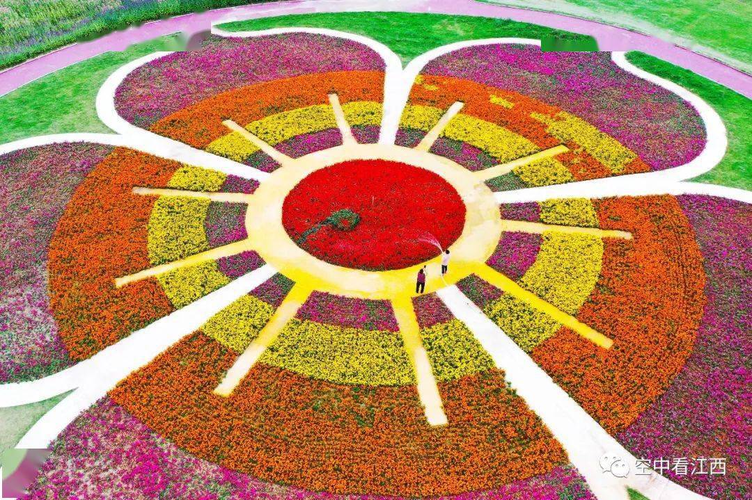 准备就绪南康家居小镇被花海包围静候家博会开幕