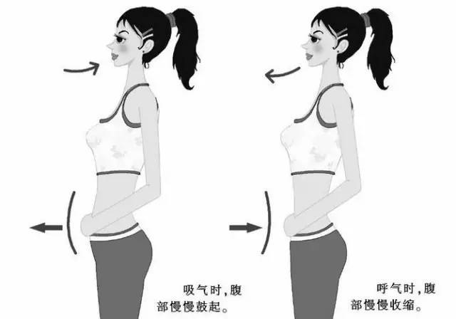 提肛运动按摩五脏六腑内附具体方法教学