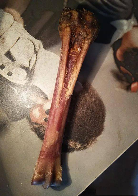 随便盘盘就油润玉化好玩的骨头这么多你最pick哪一种