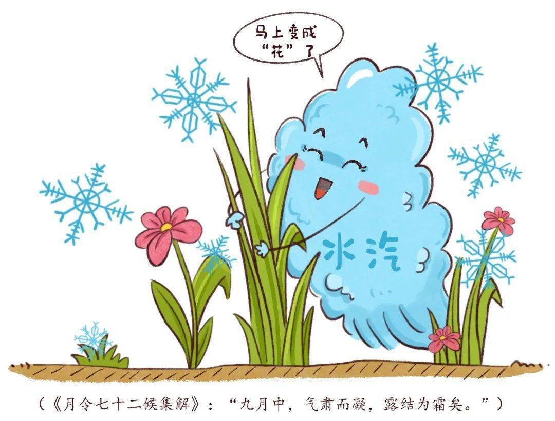 这种由水汽凝结而成的霜花又被称作"白霜"并在地面或植物上凝结成细微