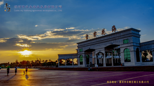 漯河雪霁花海小镇地址图片