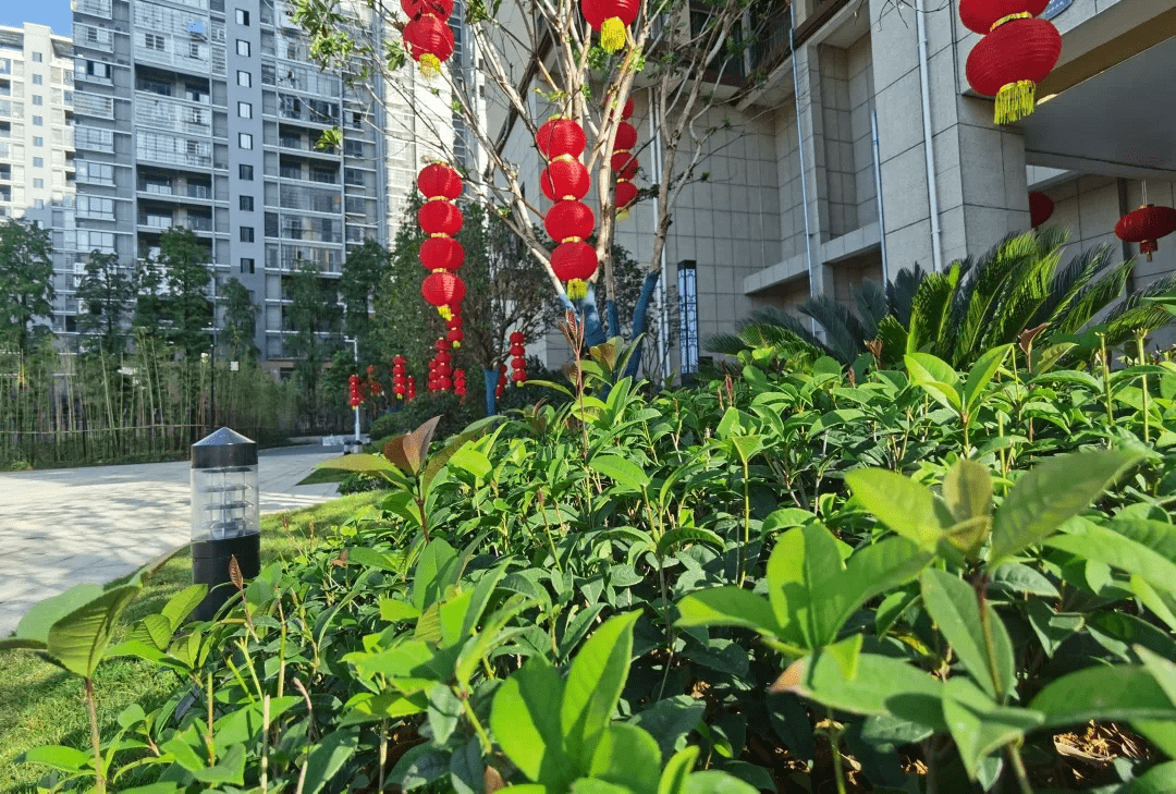 崇阳县山水天城图片