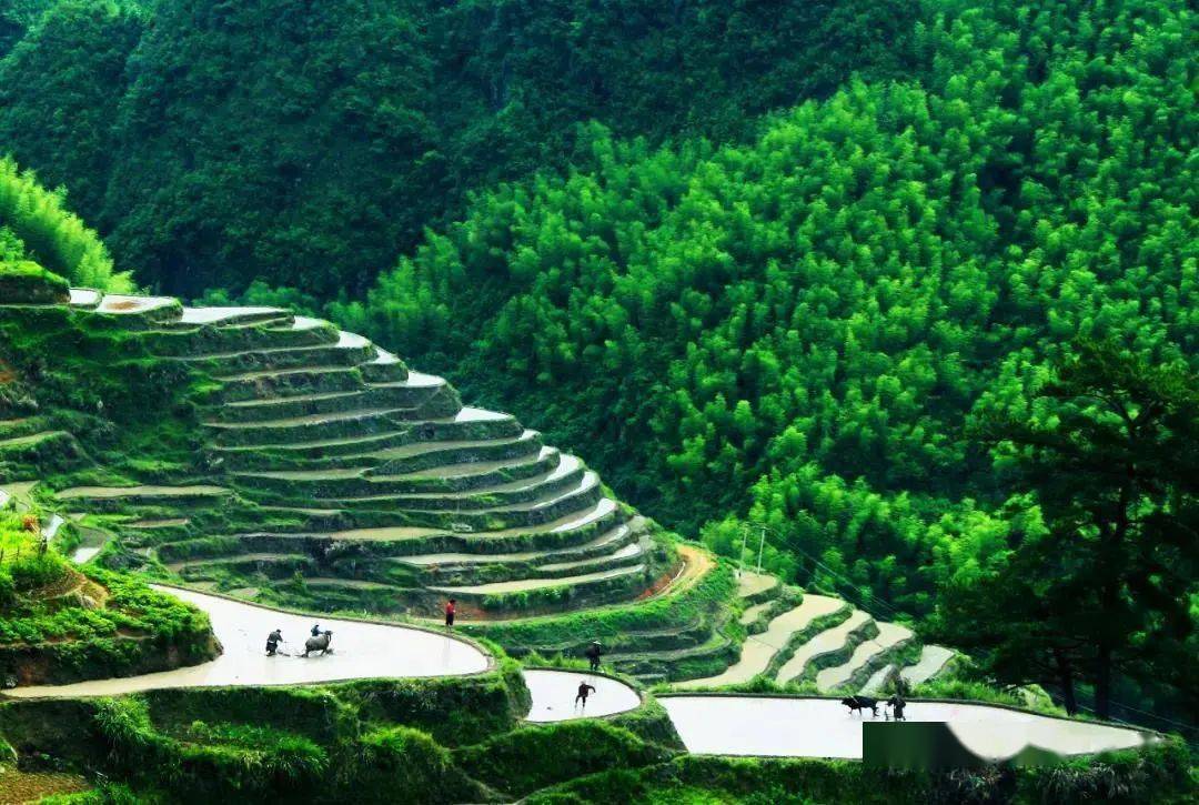 小山/摄素有"江南梯田"美誉的小佐梯田,周围植被茂盛,郁郁葱葱,放眼