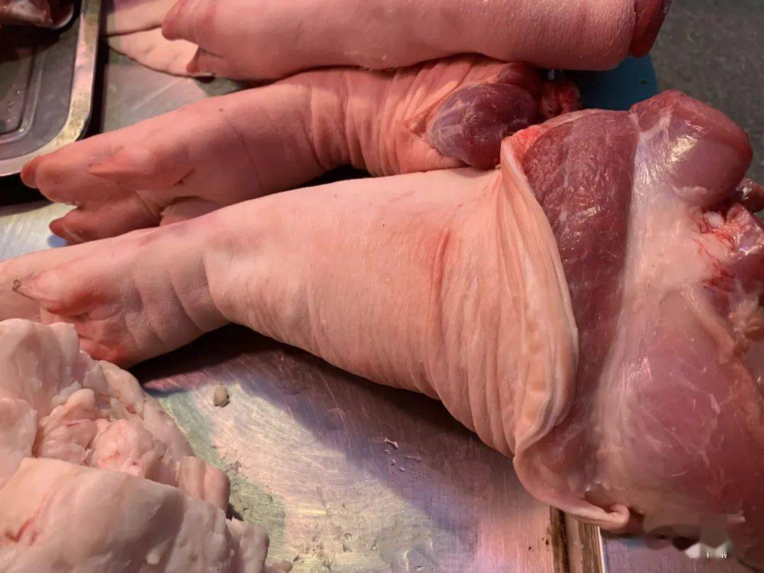 猪膈脚图片