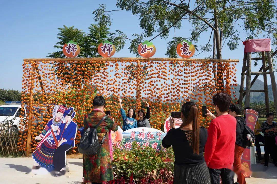 2020年广西恭城柿子节图片