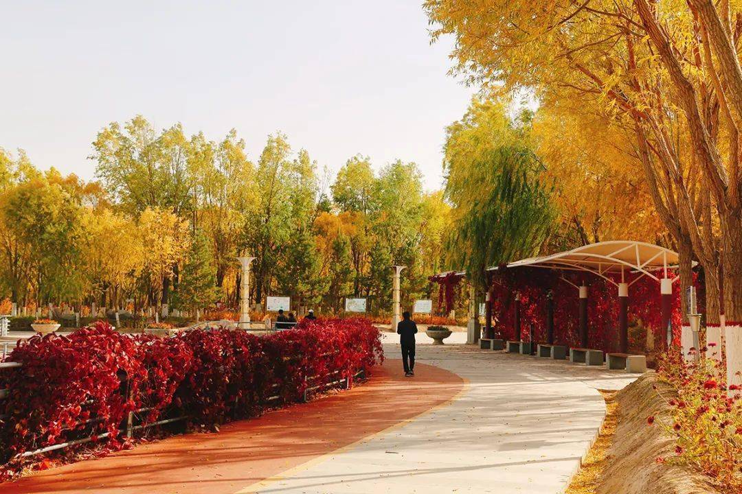 一地一秋景,嘉峪关南市区秋景"大片"来袭,快来吟一曲明媚秋光!