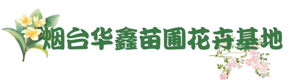 成都桂花苗木基地地址