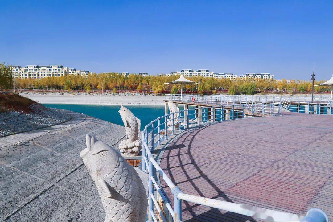 一地一秋景,嘉峪关南市区秋景"大片"来袭,快来吟一曲明媚秋光!