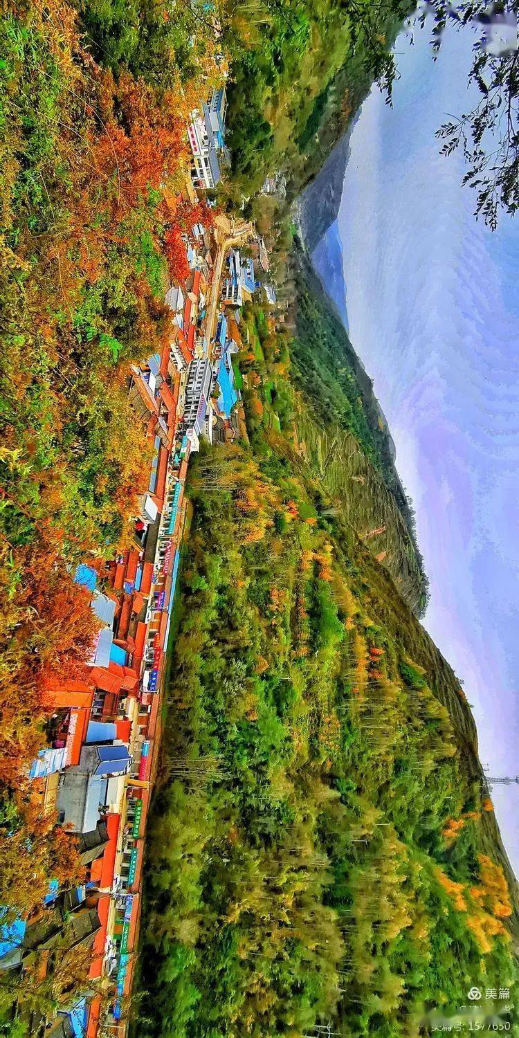 陇南礼县白关镇秋已暮露成霜淡淡思乡情