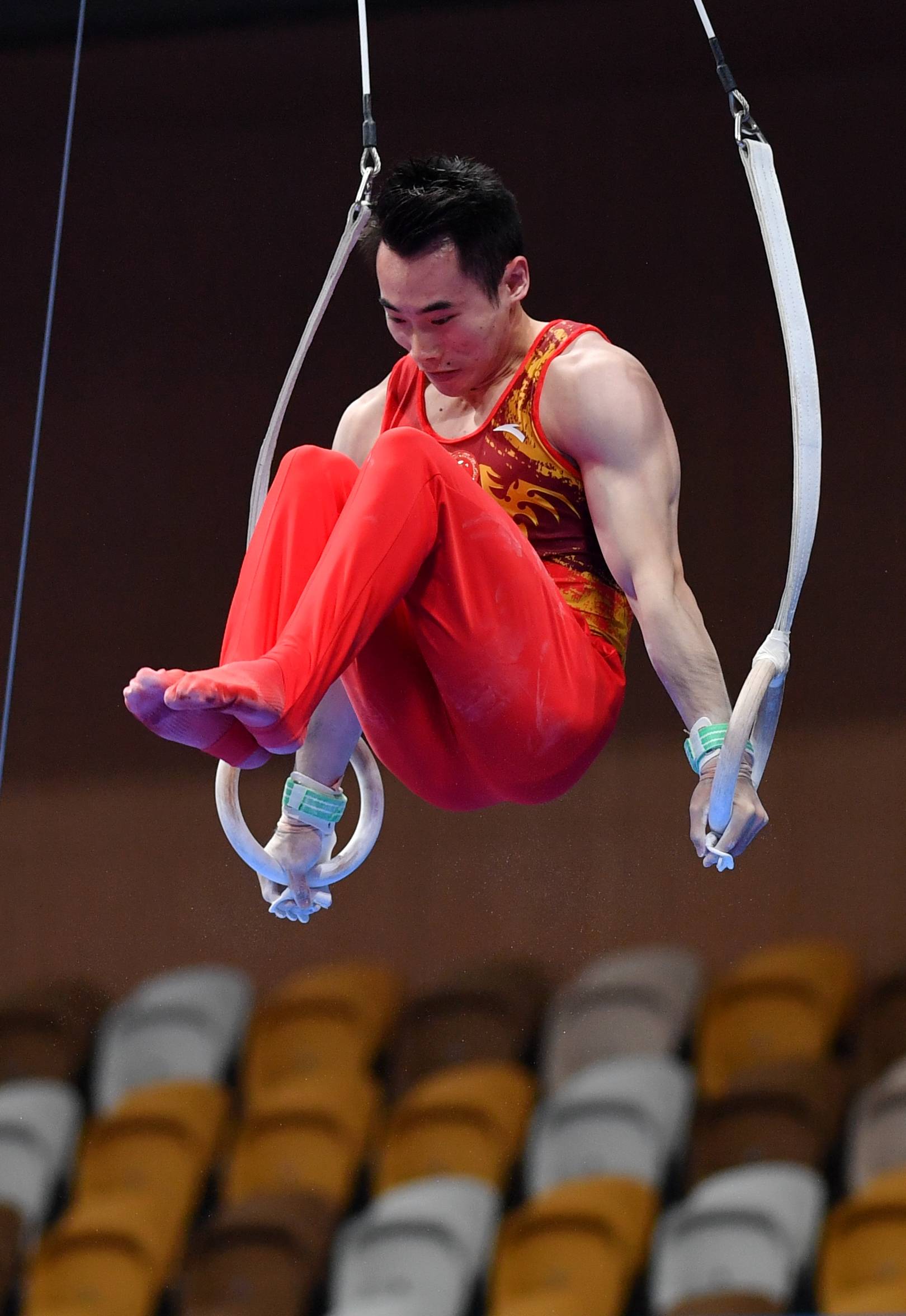 體操——全國冠軍賽:男子吊環決賽賽況_選手