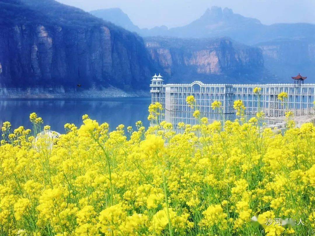 美丽邢台沙河秦王湖碧水湖畔静享春暖花开