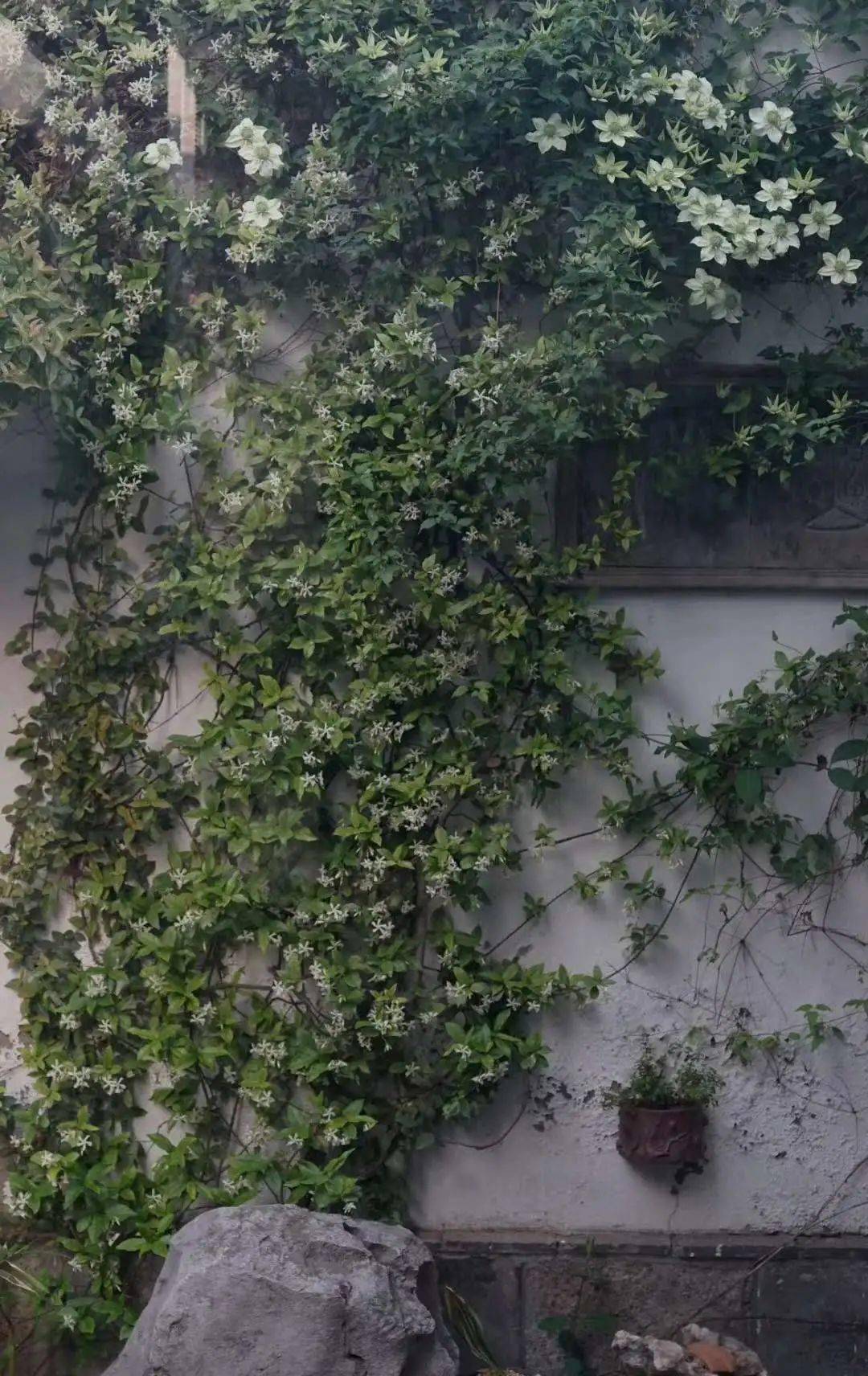 江南草圣的女儿 讲自己的水墨情事_手机搜狐网