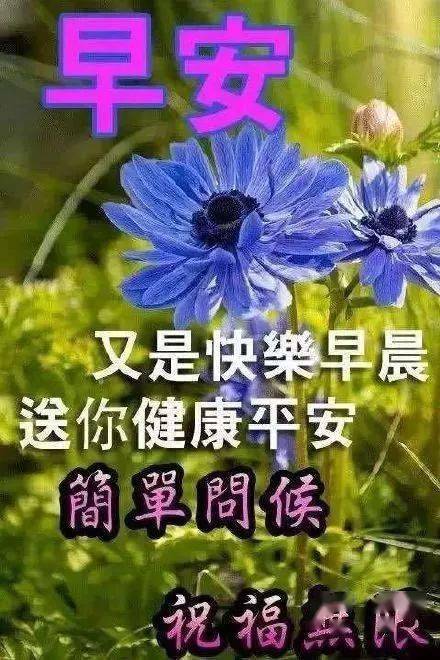 問候早上好祝福語圖片帶字動態表情,清晨祝福語暖心句子送給朋友_手機