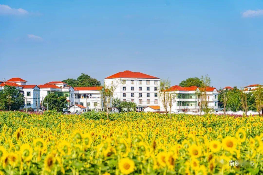 南康家居小镇被花海包围静候家博会开幕