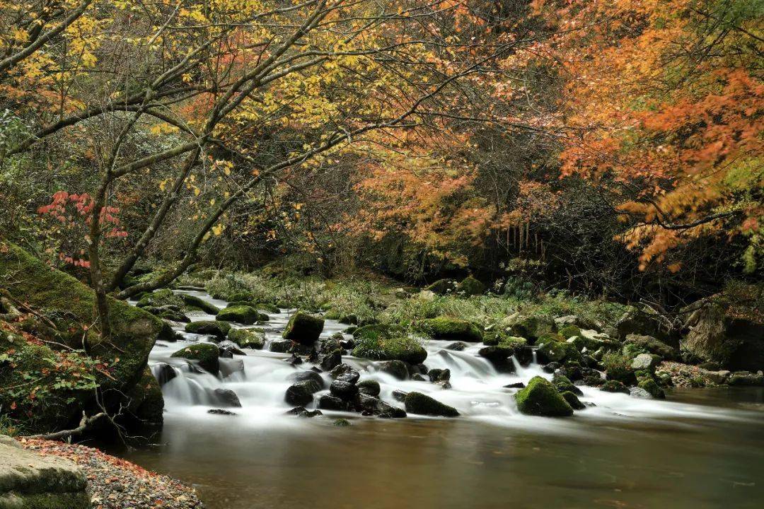 漢中黎坪景區