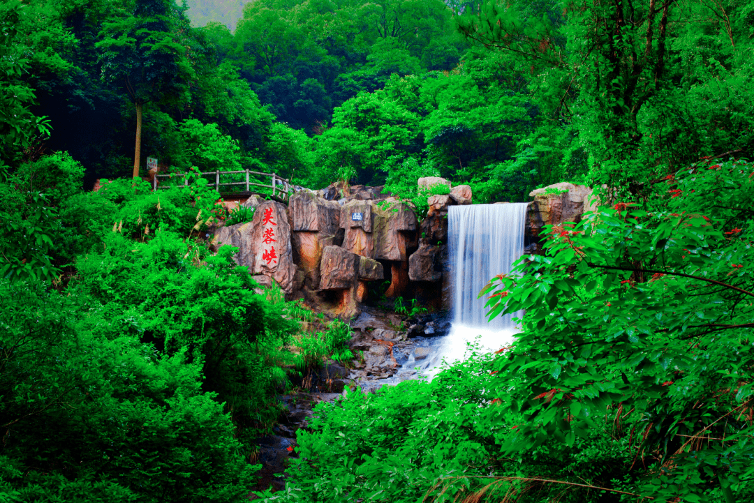 黄江美文|一步一景,感受禅意中的芙蓉寺_宝山