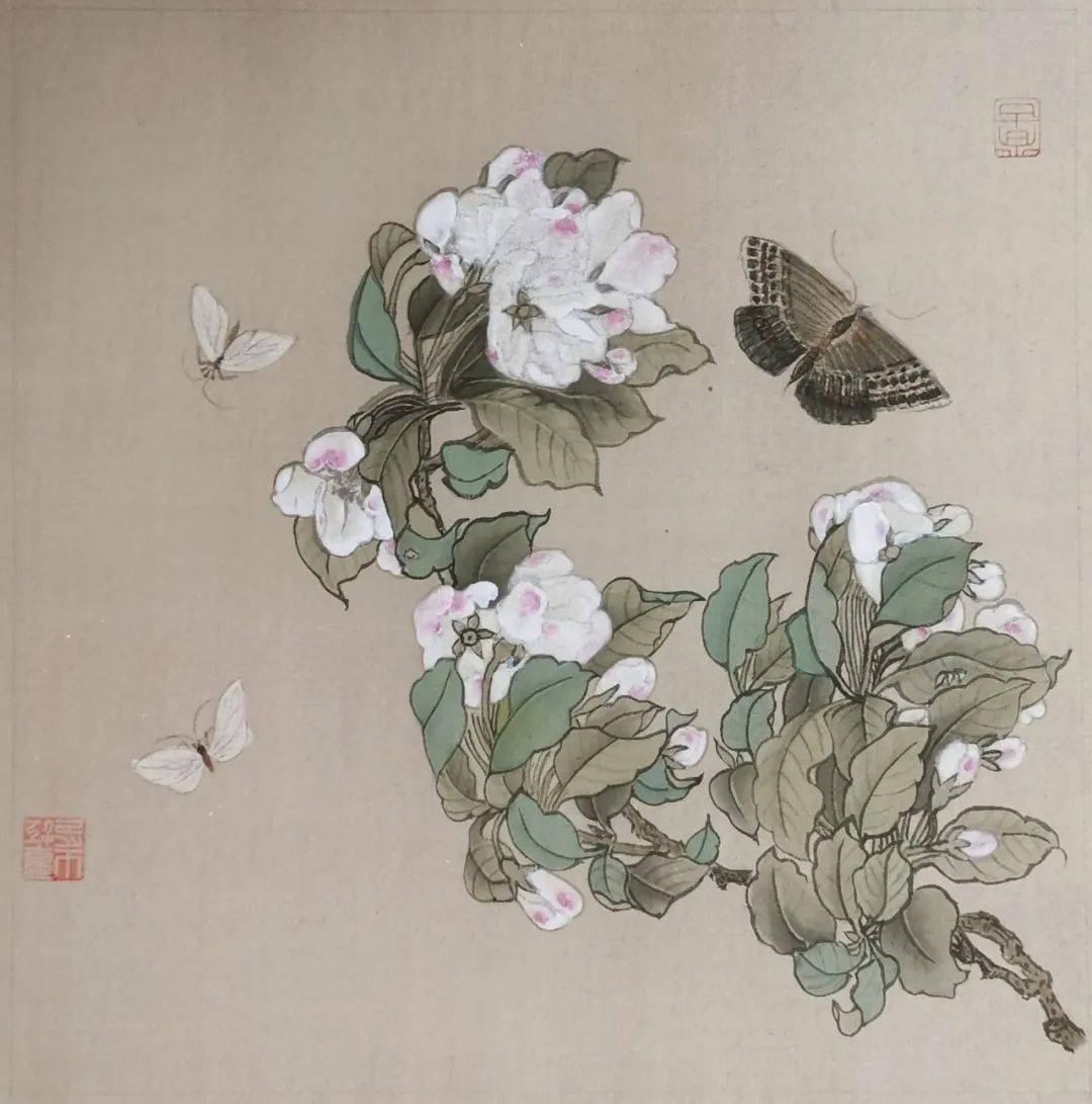 苏门画苑2020级中央美术学院苏百钧教授工笔花鸟画高研班课程作品宋画