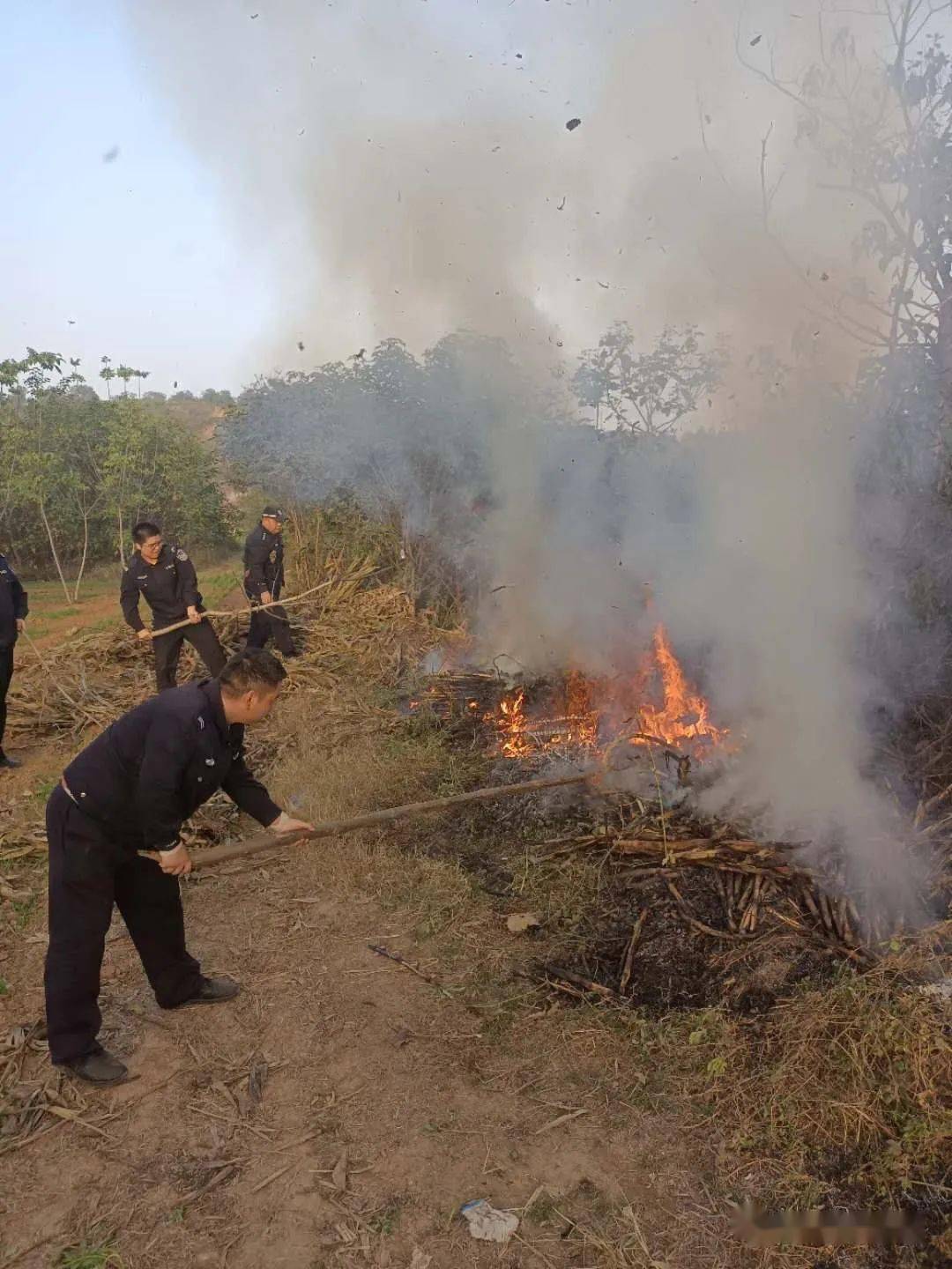 注意新密地边玉米杆突然失火民警紧急扑救除隐患