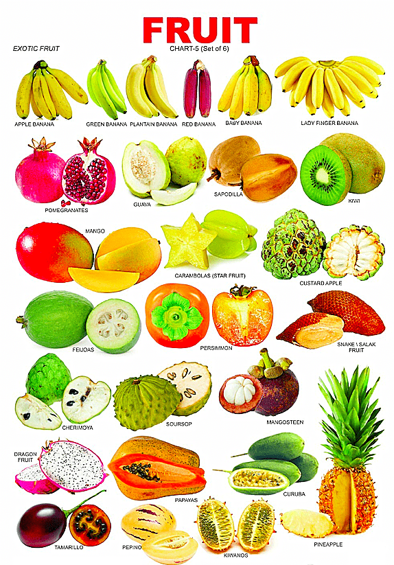史上超全水果英文名称汇总及配图建议收藏