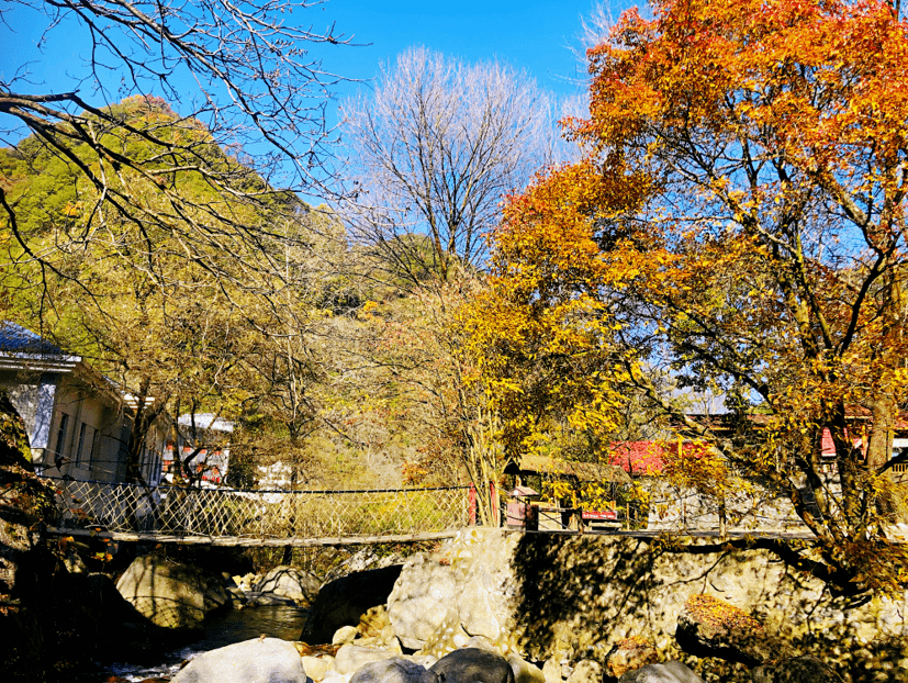 文旅访谈这个秋天走进五彩斑斓的童话世界红河谷文末留言有惊喜