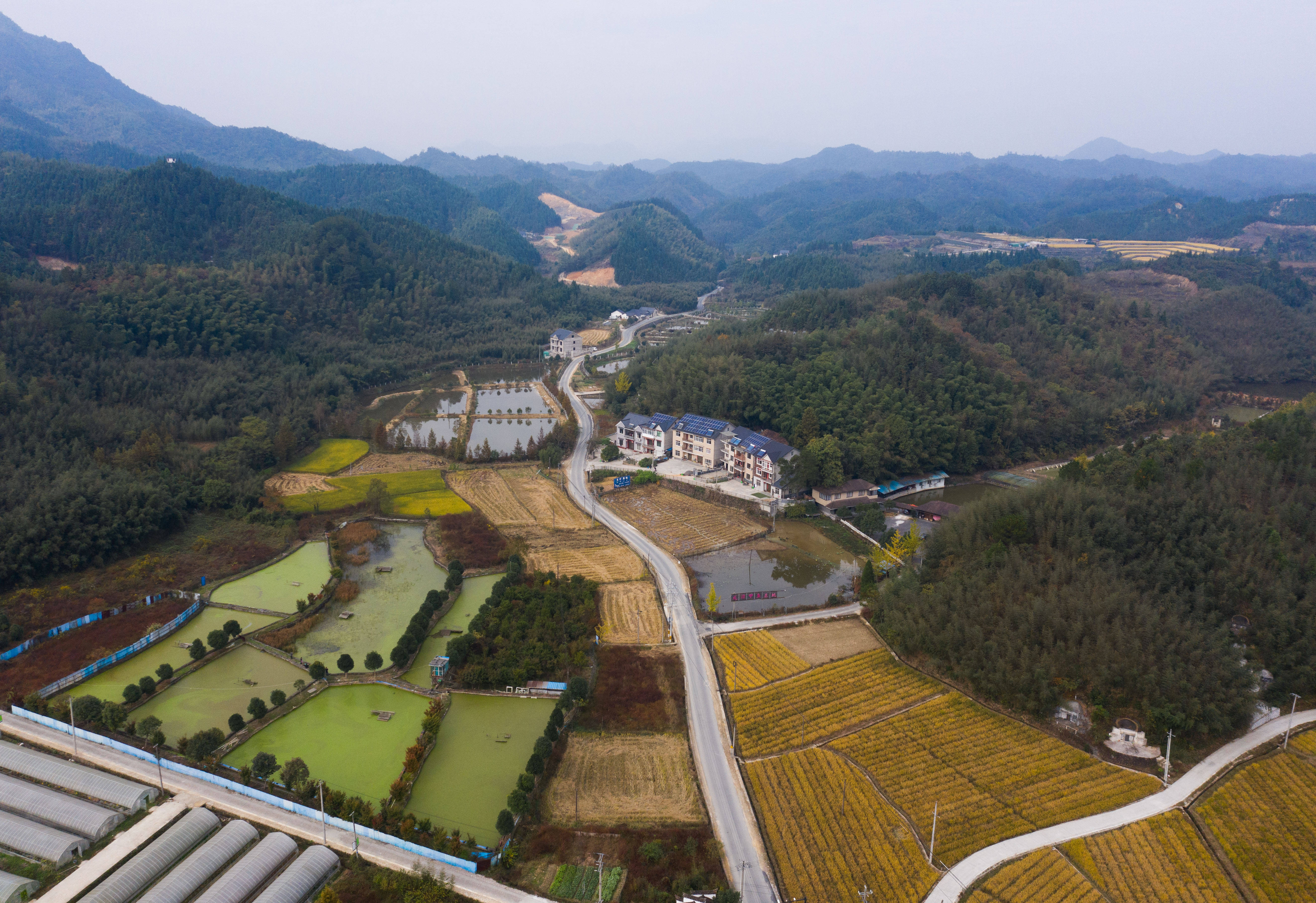 10月27日,空中俯瞰杭州市临安区太阳镇浪山村的生态养殖基地.