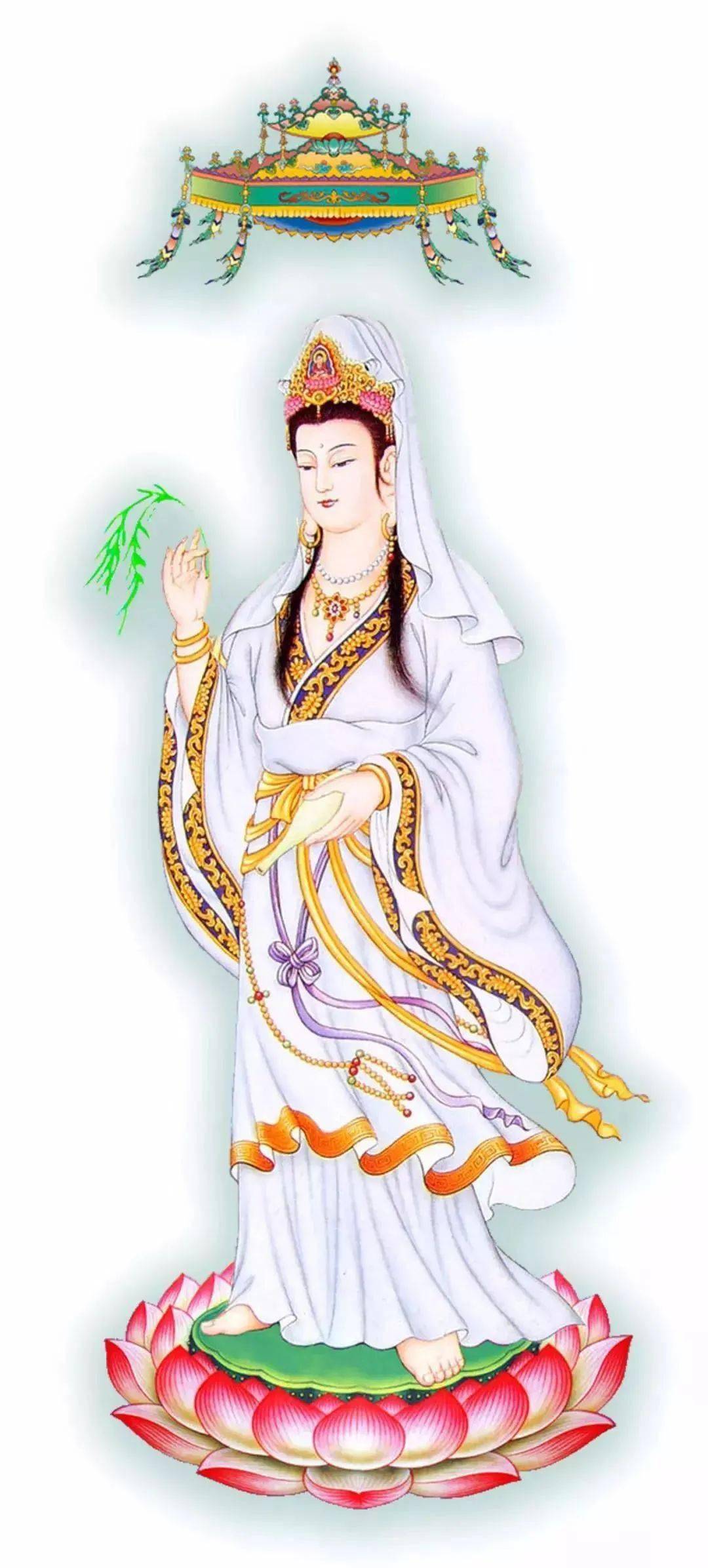 观音菩萨出家日放生法会通启妙音观世音,梵音海潮音.