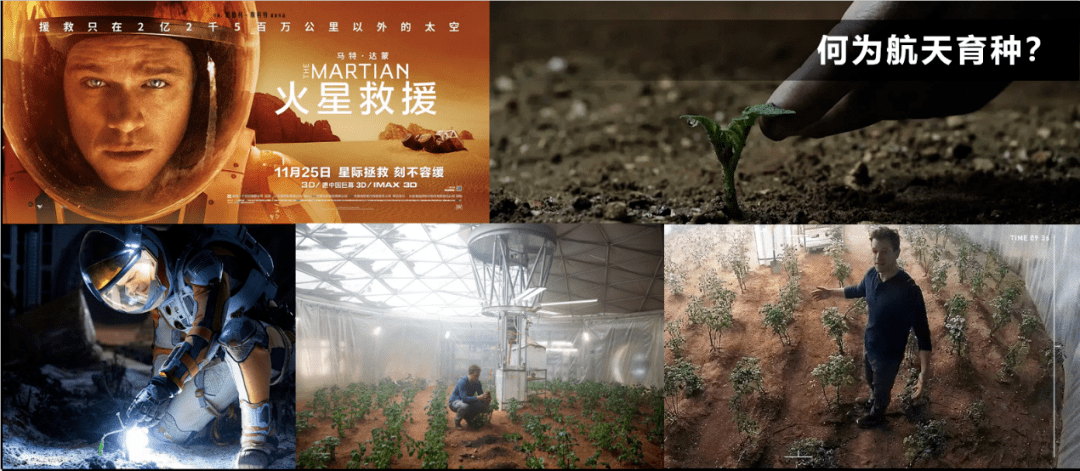在火星上种土豆对我们来说这一点也不稀奇赵辉