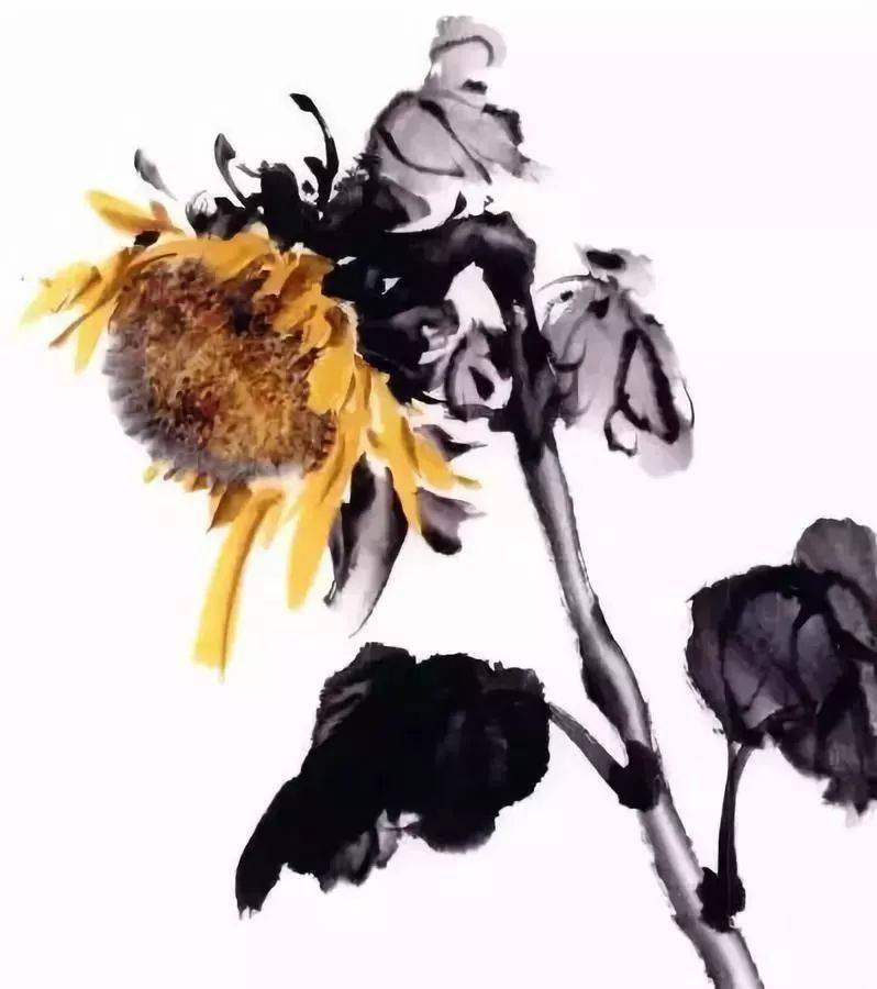国画教程:彩墨向日葵细节画法