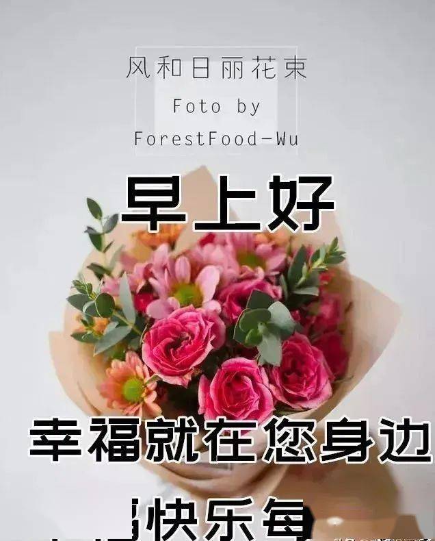 漂亮早安问候图片鲜花带字漂亮好看的鲜花早上好问候语图片