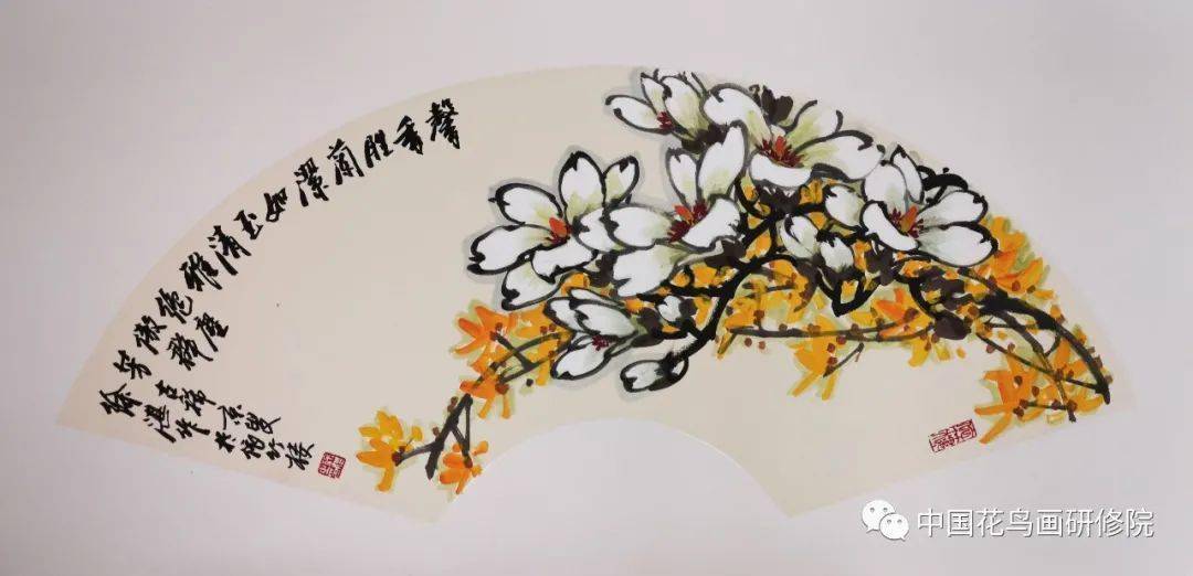 《玉树临风 含笑迎春》徐湛教授玉兰扇面作品欣赏_花鸟画
