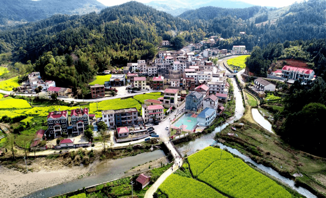 【美丽乡村建设集锦】萍乡这几个村美极了_新农村