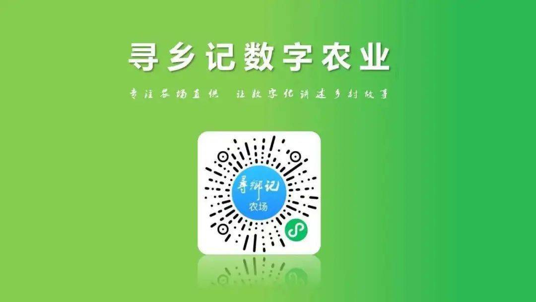 恭喜寻乡记荣获电商助农贡献奖