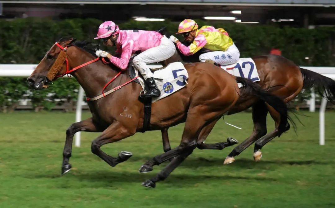 跑马地赛事榜首骑练时时有星威