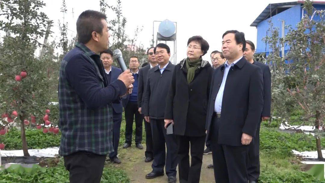 省政协农业农村委主任呼燕一行到凤翔县调研