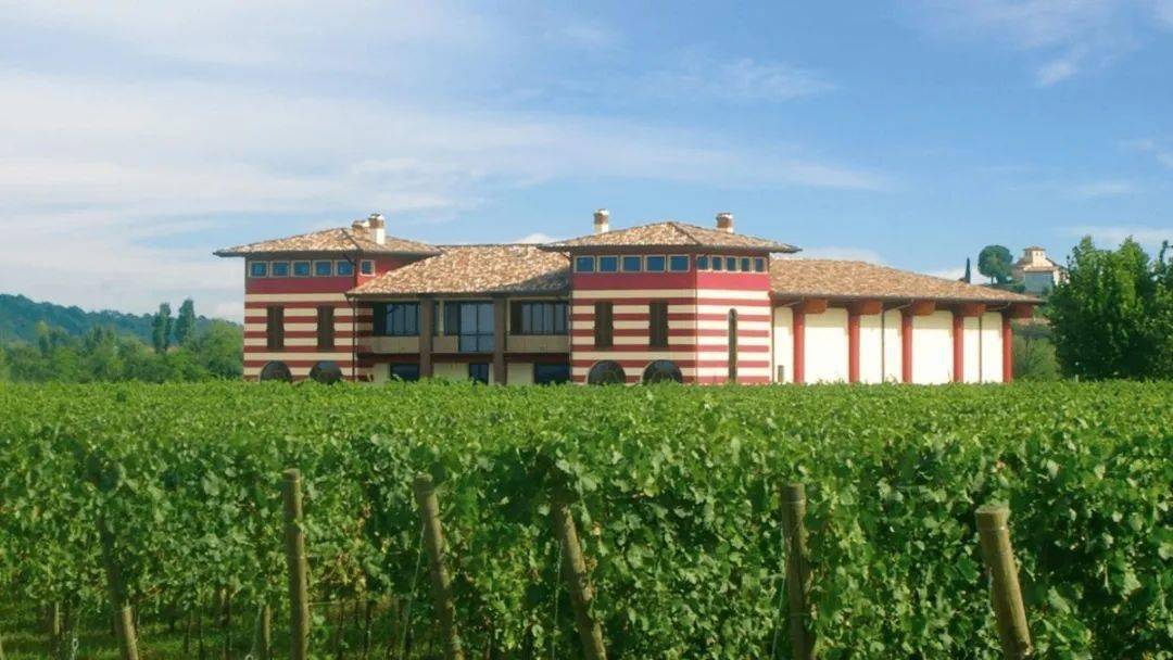 代表酒庄:cantina bosio,cantine san silvestro,mandrarossa,cantine