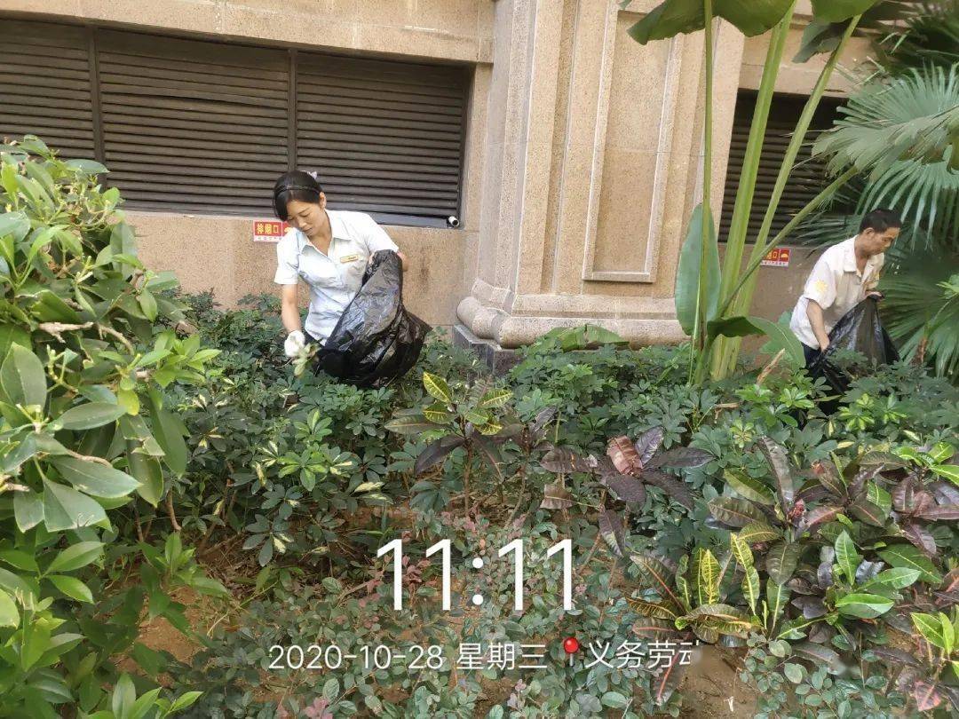 周报泉州万达公馆10月第五周物业服务工作周报