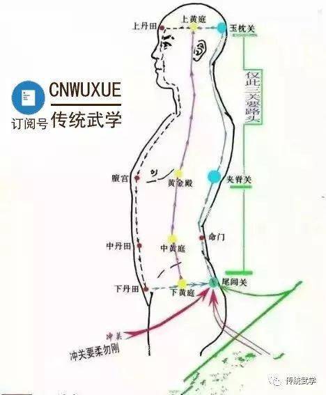 丹田在拳术中的重要作用