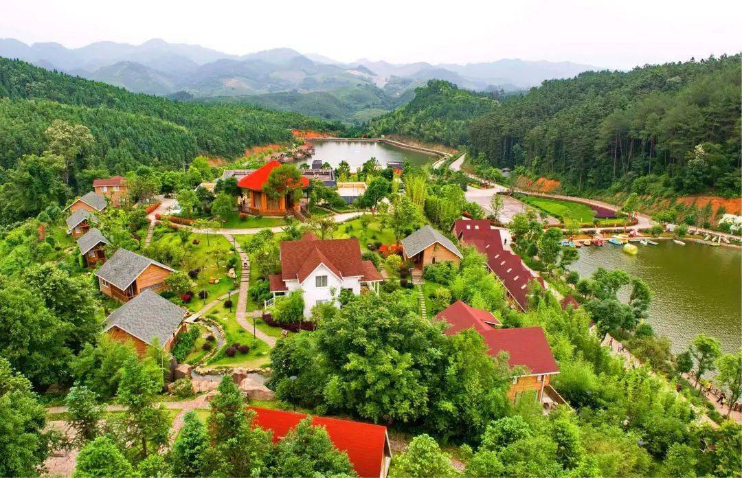 深耕生态自然打造绿色康养福地这个地方沙县虾还不知道