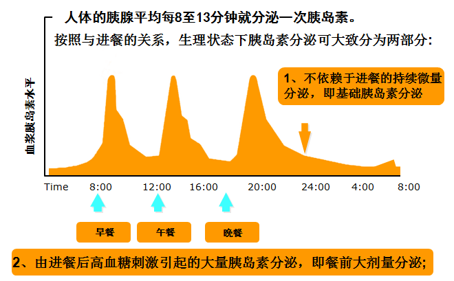 通过减少肝脏葡萄糖的输出和改善外周胰岛素抵抗而降低血糖