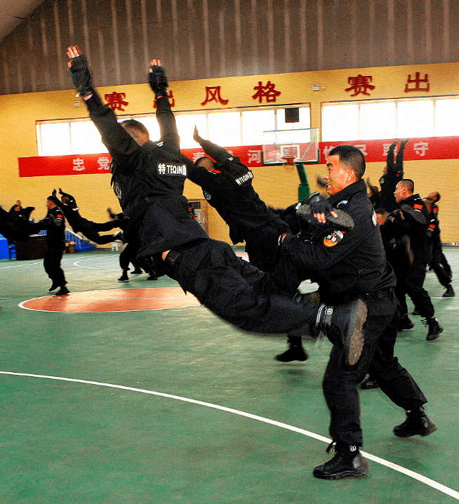 鹤煤集团(鹤煤集团领导班子成员)